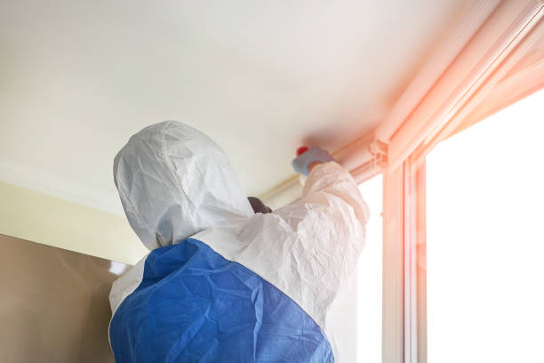 Why You Should Choose Our Mold Remediation Services in Wardsville, MO